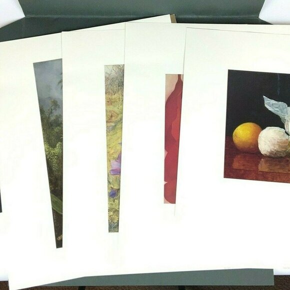 Amon Carter Museum 1988 Fruit Flowers Art Prints Portfolio 16x20 Set Of 5 - Picture 3 of 12